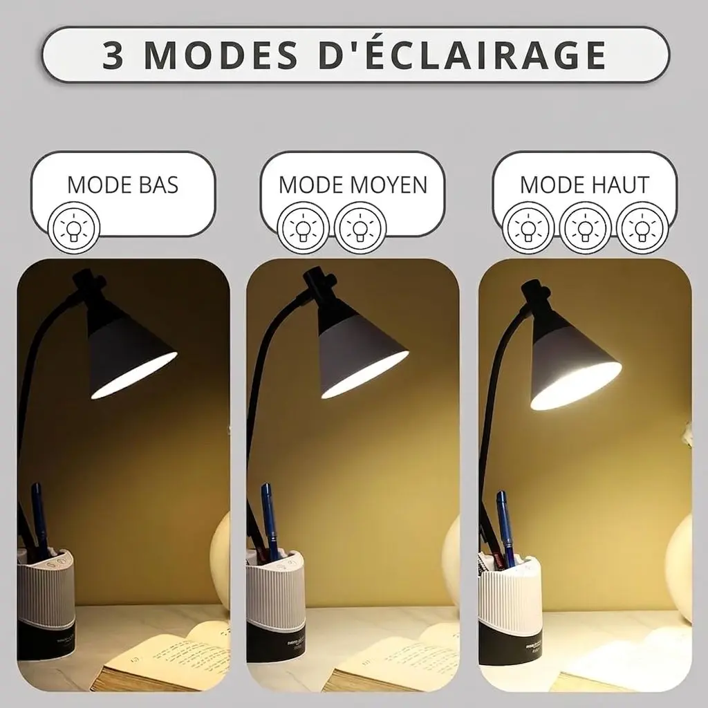 WhatsApp Image 2026-04-21 at 2.25.49 PM (2).webp