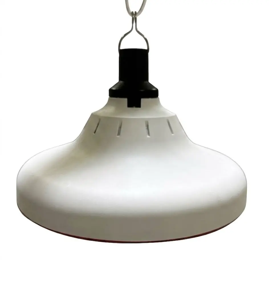 WhatsApp Image 2026-04-22 at 10.15.48 AM.webp